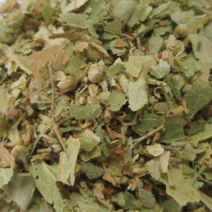 Tisane リンデン 10g