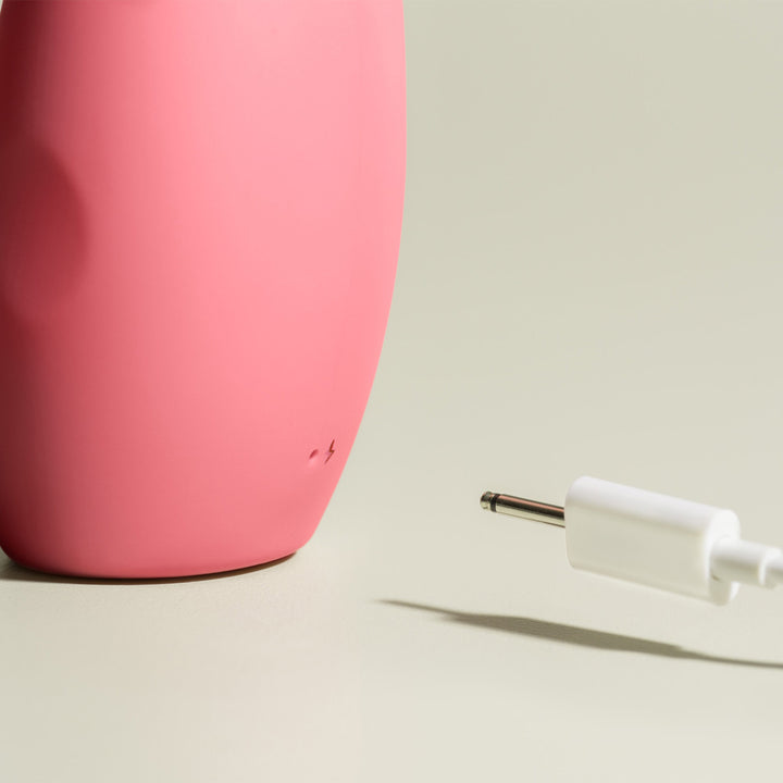 プレジャーテック セルフプレジャートーイ バイブ smile makers(スマイルメーカー) The Artist