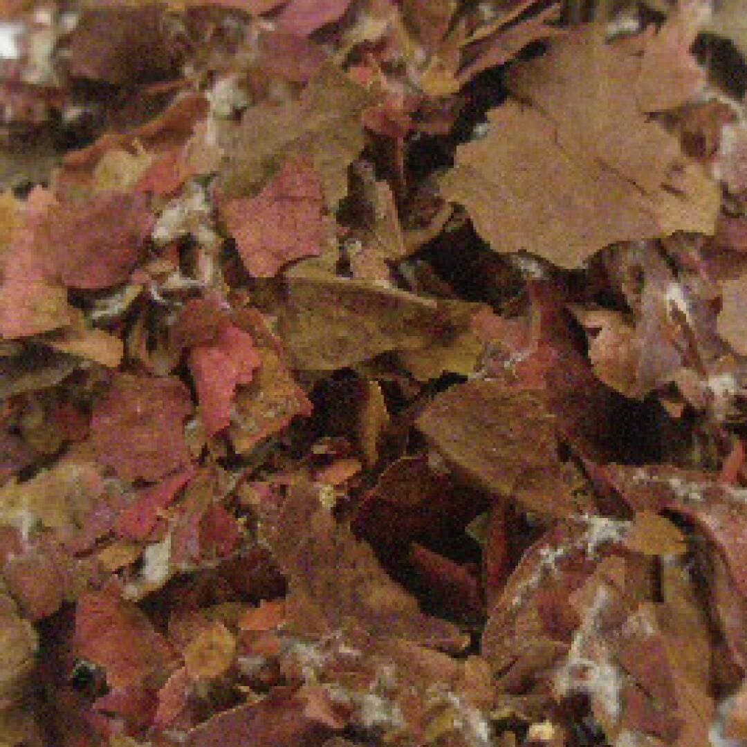 Tisane　ヴァン・ルージュ　１０ｇ