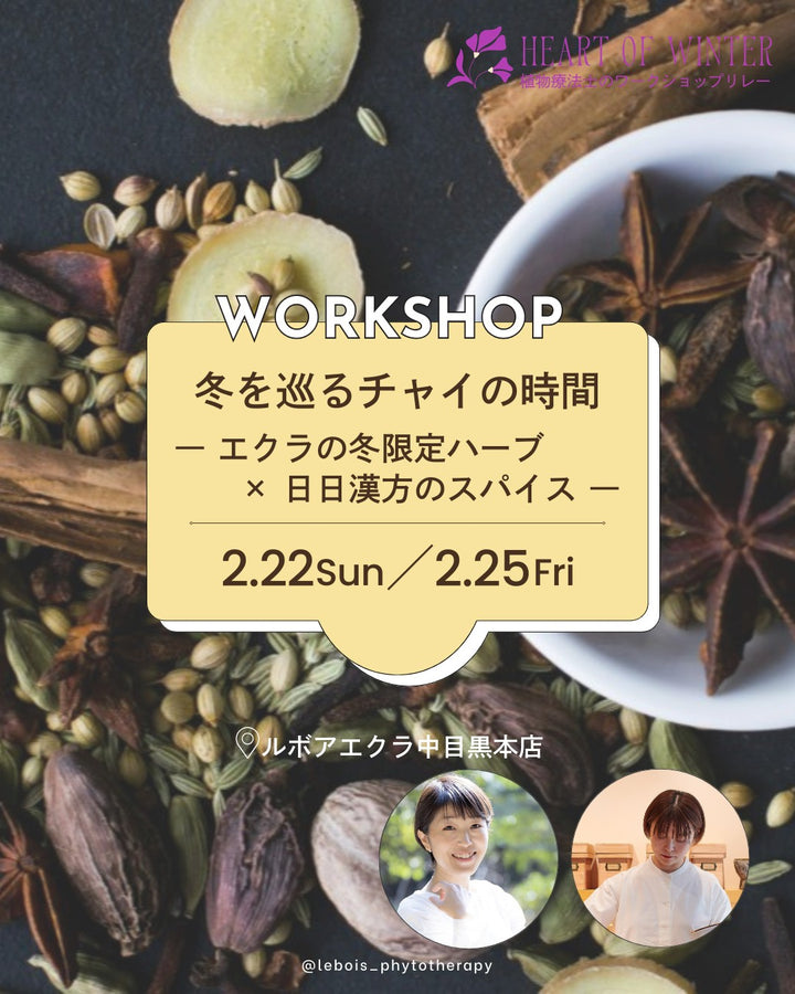 【2月22日(日) 13:30-】冬を巡るチャイの時間― エクラの冬限定ハーブ × 日日漢方のスパイス ―～Herat of Winter ～植物療法士のワークショップリレー