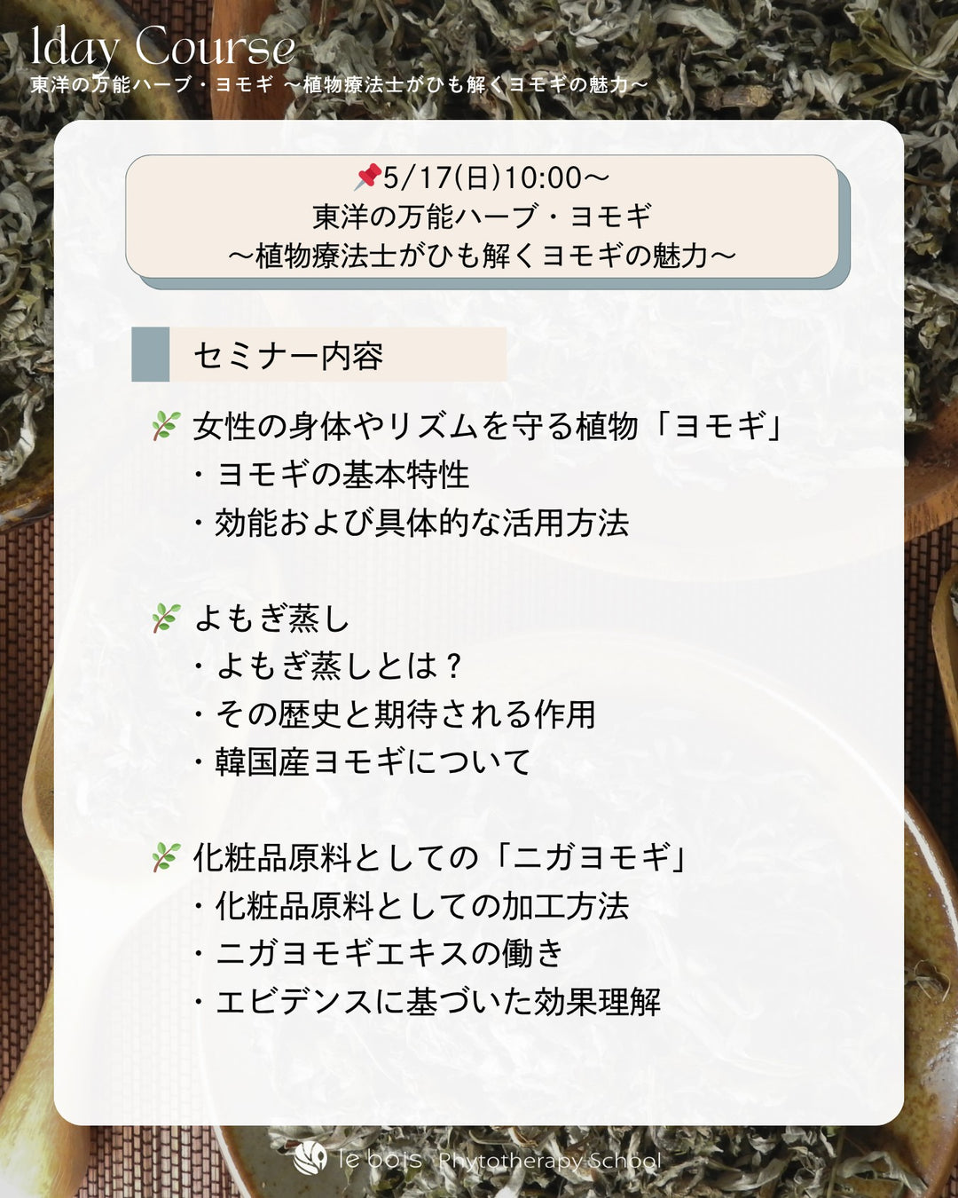 【特別講師：風間ゆみえ】5/17(日)10:00 ZOOM＆対面開催｜東洋の万能ハーブ・ヨモギ〜植物療法士がひも解くヨモギの魅力〜1day講座🌿