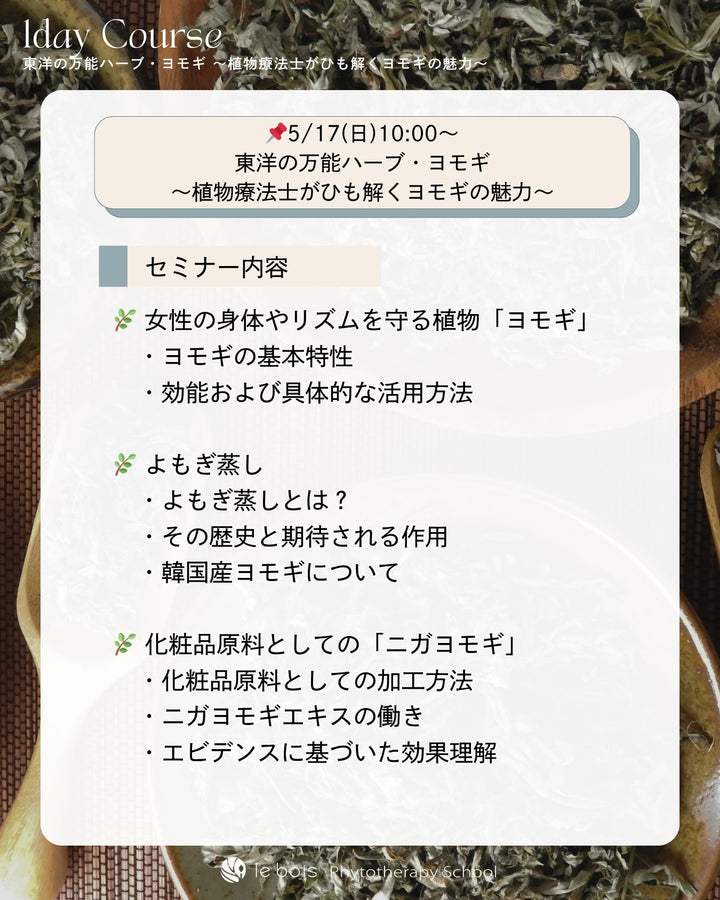 【特別講師：風間ゆみえ】5/17(日)10:00 ZOOM＆対面開催｜東洋の万能ハーブ・ヨモギ〜植物療法士がひも解くヨモギの魅力〜1day講座🌿