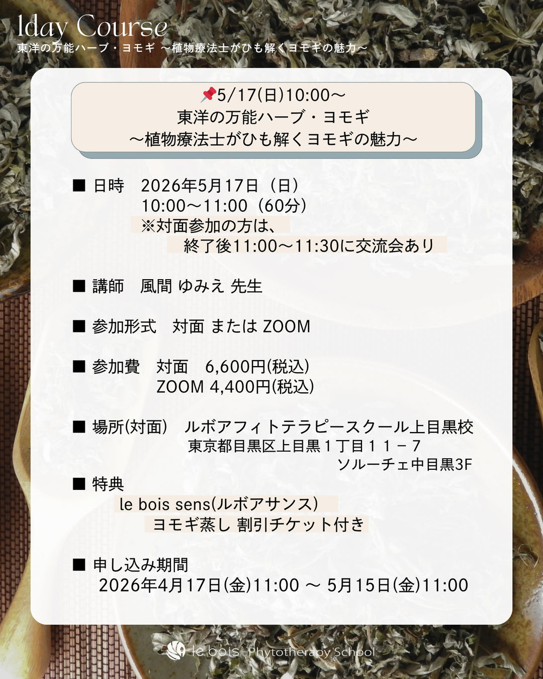 【特別講師：風間ゆみえ】5/17(日)10:00 ZOOM＆対面開催｜東洋の万能ハーブ・ヨモギ〜植物療法士がひも解くヨモギの魅力〜1day講座🌿