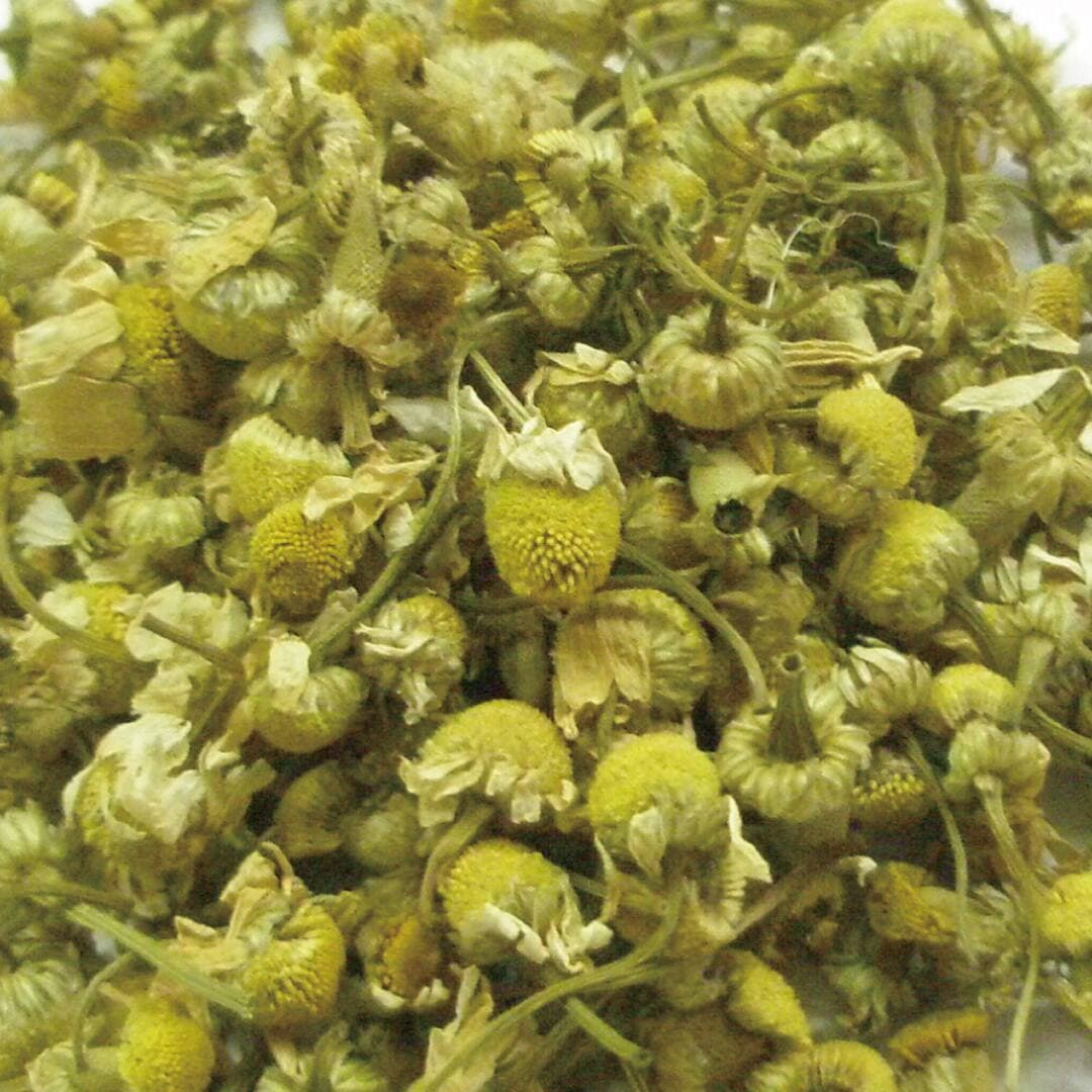 Tisane　ジャーマン カモミール　１０ｇ