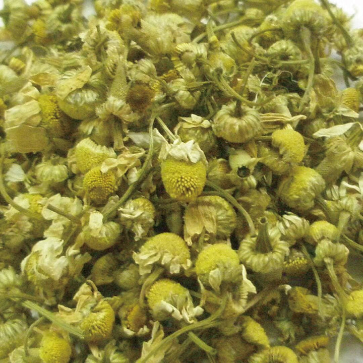 Tisane　ジャーマン カモミール　１０ｇ