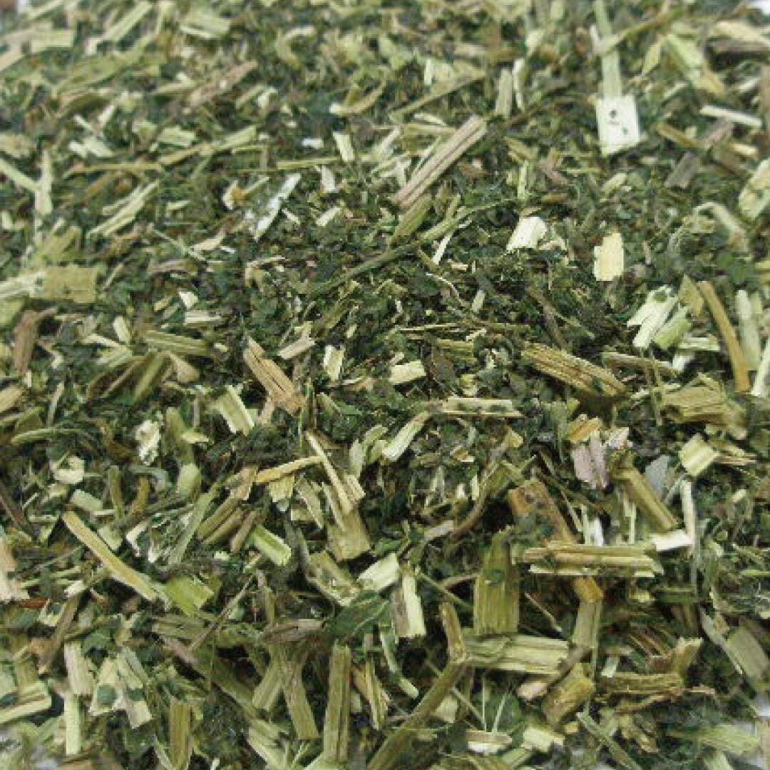 Tisane　ネトル　１０ｇ