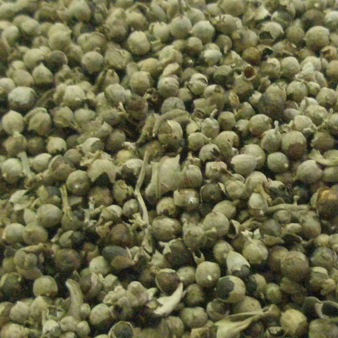 Tisane　チェストベリー　１０ｇ